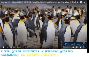 Lee más sobre el artículo A VER QUIÉN ENCUENTRA A NUESTRO PEQUEÑO PINGÜINO ALEJANDRO. Y además Radio ESE emisión nº 126. 2ª parte.