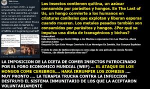 Lee más sobre el artículo JUEVES 15 DE SEPTIEMBRE 22. SELECCIÓN DE VÍDEOS EN ESE. ÚLTIMAS NOTICIAS DE VERDAD. Y además ESCRITO GENÉRICO PARA PEDIR AGUA Y LUZ CASI GRATIS PARA TODOS