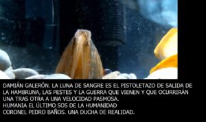 Lee más sobre el artículo LA LUNA DE SANGRE DEL 9 DEL 11 HA SIDO EL PISTOLETAZO DE SALIDA DE LA HAMBRUNA, LA PESTE Y LA GUERRA QUE VIENEN Y además la historia real de la verdad y la mentira.
