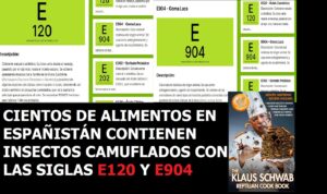 Lee más sobre el artículo ATENCIÓN CIENTOS DE ALIMENTOS LLEVAN INSECTOS CAMUFLADOS CON E120 O E904. Y además NOTICIAS DEL FIN DE LOS TIEMPOS 9-03-2023