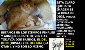 Lee más sobre el artículo ESTÁ CLARO QUE ESTA IMAGEN ES LA OBRA DE DIOS, no la obra cutre de la I.A. Y además enlace gratuito al libro de la Vida