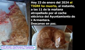 Lee más sobre el artículo EL TIGRE HA MUERTO. JESUCRISTO NOS ENVÍA UN MENSAJE DESDE EL CIELO. Y además NOTICIAS DEL FIN DE LOS TIEMPOS 23-01-2024